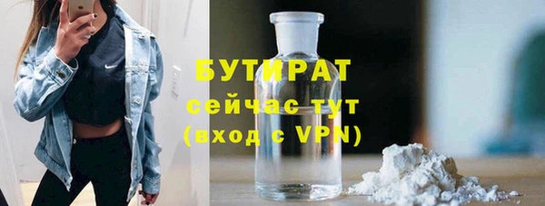шишки Новодвинск