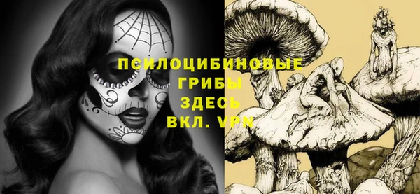 гашик Абинск