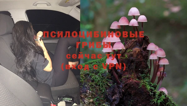 гашик Абинск